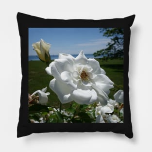 White Rose Pillow