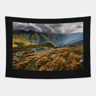 Alpine landscape in a cloudy day Tapestry