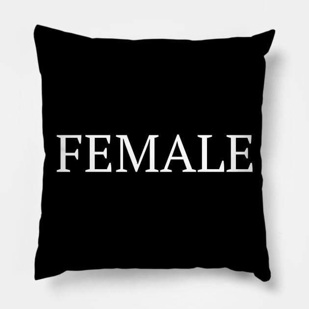 Female Empowerment Feminist Feminism T-Shirt Pillow by fromherotozero