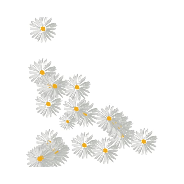 Flower white minimal margarita daisy by carolsalazar