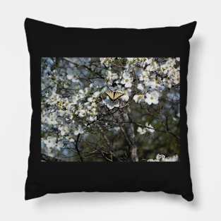 Spring Butterfly Pillow