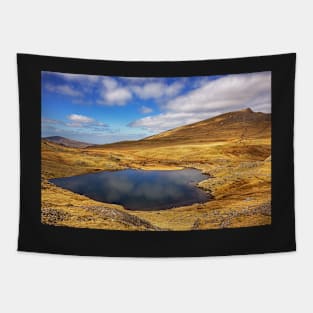 Llyn y Cwn and Y Garn Tapestry