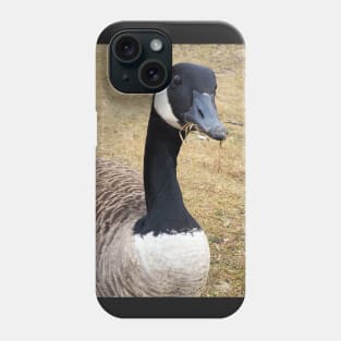 Canada Goose With Sticks In Its Mouth Phone Case