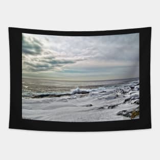 Wintery Coastline Tapestry