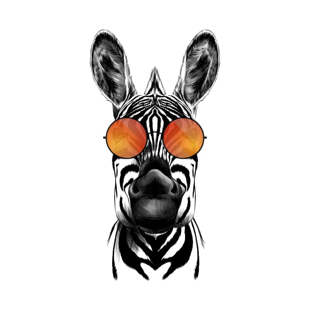 Zebra by maxha