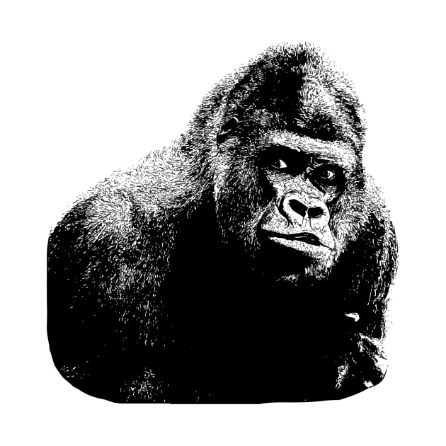 gorilla, silverback, ape, monkey, primate, wild, animal, wild animal, wildlife, wildlife, animal world by nim