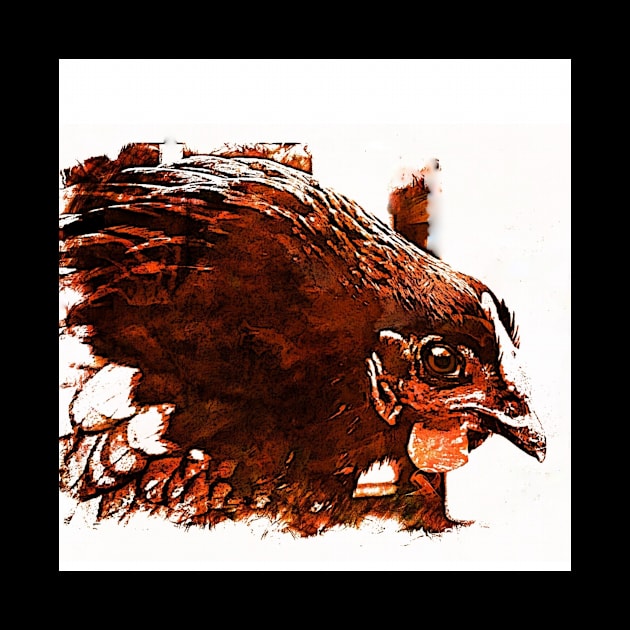 ANGRY CHICKEN by JOHN COVERT ILLUSTRATIONS