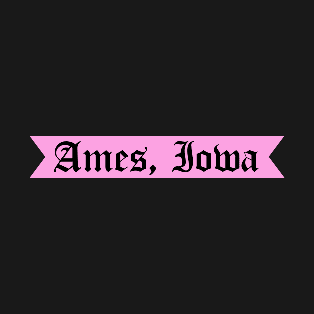 Ames, Iowa Gothic Font by sydneyurban