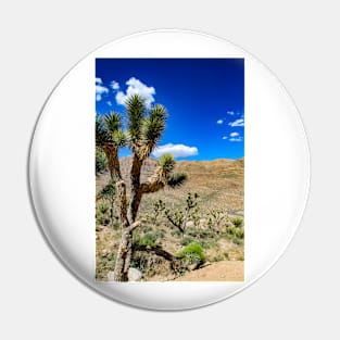 Joshua Tree - Arizona Pin