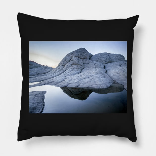 Brain Rock Pillow by algill