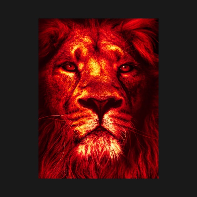 Lion Red by RockettGraph1cs