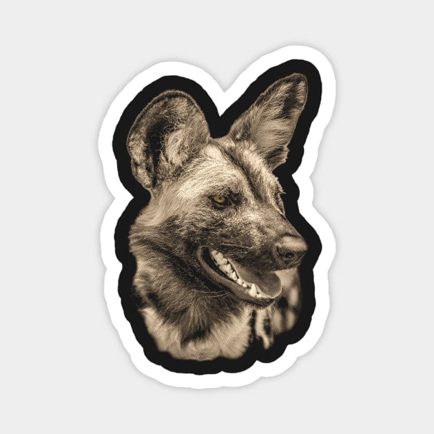 African Wild Dog Close-up Magnet by scotch