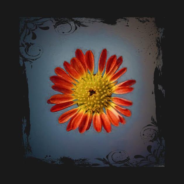 Orange Daisy In Grunge Style by PhotoArts