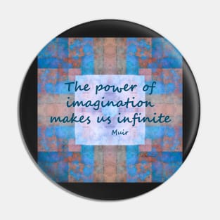 Imagination John Muir Quote Pin