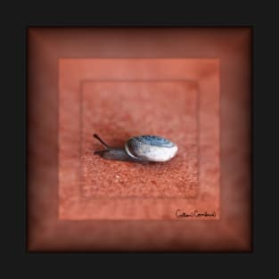 Macro Photograph of Snail on Terracotta Digital Art T-Shirt