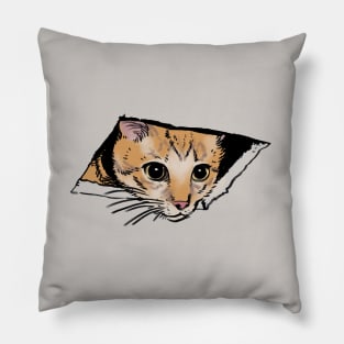 Mudwizard draws the ceiling cat meme / funny animal meme Pillow