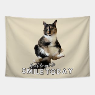 Snickers The Cat - Don't Forget to Smile Today Tapestry