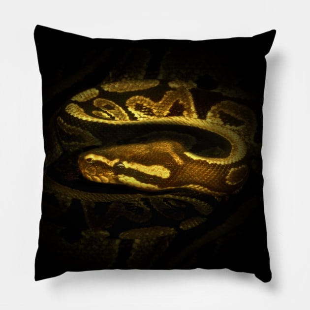 Python Pillow by Guardi