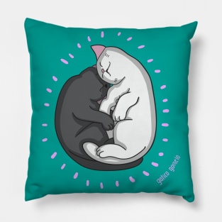 Cats sleeping Pillow