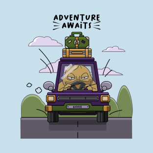 Adventure Awaits T-Shirt