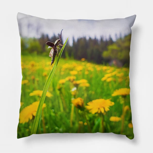 bug take flight Pillow by psychoshadow