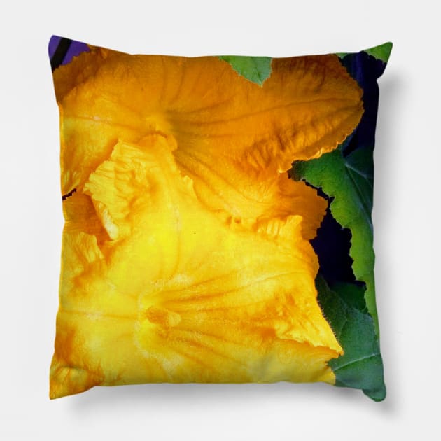 Pumpkin Blossom Pillow by Hajarsdeco