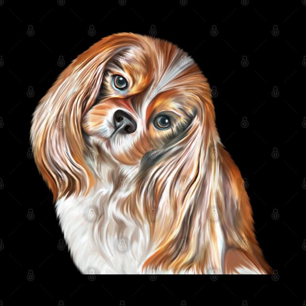 Drawing Dog Cavalier King Charles Spaniel by Bonidog