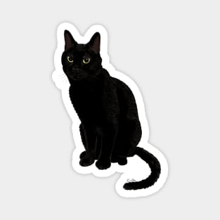 Black Cat Stare Down Magnet