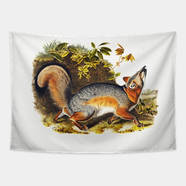RED GREY FOX AMONG LEAVES Tapestry by BulganLumini