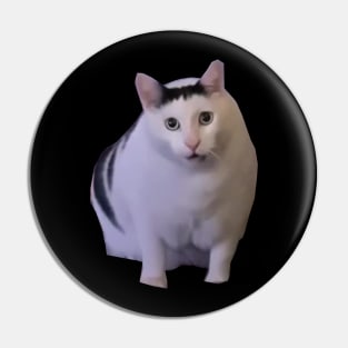 Huh Cat Meme Pin