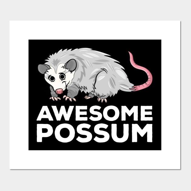 Awesome Possum Funny Pun Awesome Possum Affiche Et Impression D Art Teepublic Fr