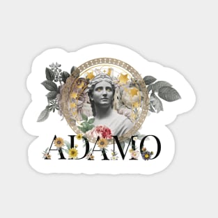 Adamo Magnet