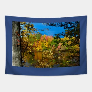 Murphysboro Lake (6) Tapestry