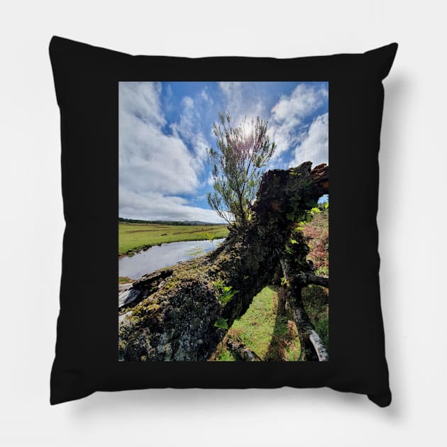 Madeira, motif 6 Pillow by Zamart20