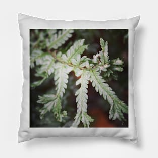 Spiky fern Pillow