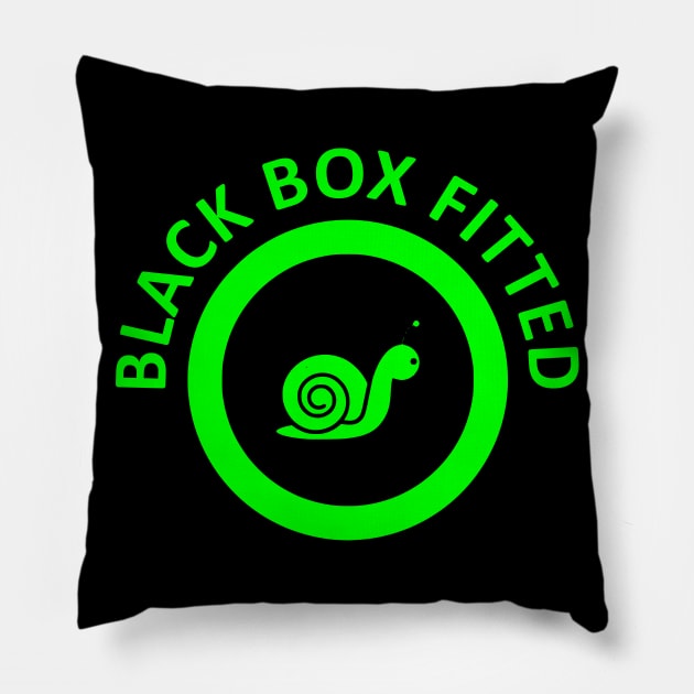 Black Box, Young and New Car Drivers Pillow by Applecrunch