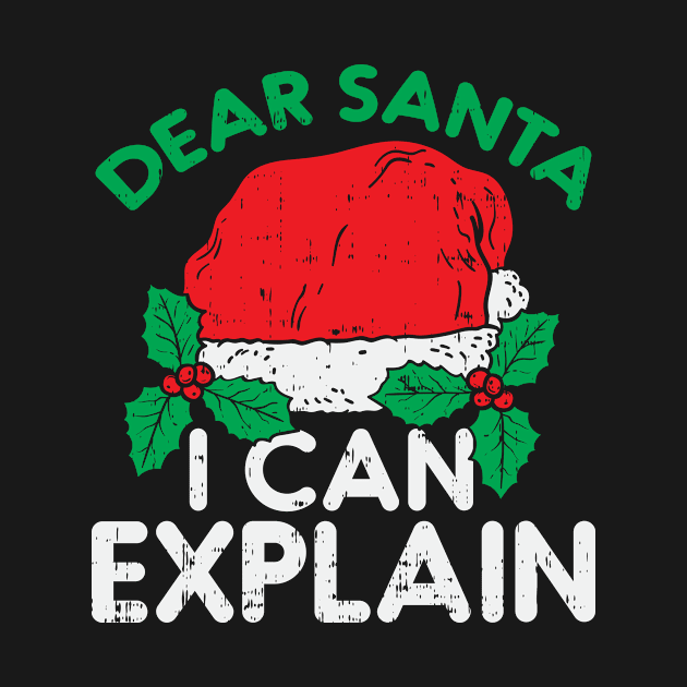 Dear Santa I Can Explain by dilger