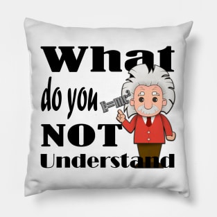 What Do You Not Understand Pillow