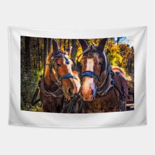 Horse Pride 2 Tapestry