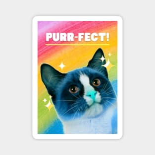 Purrfect Magnet