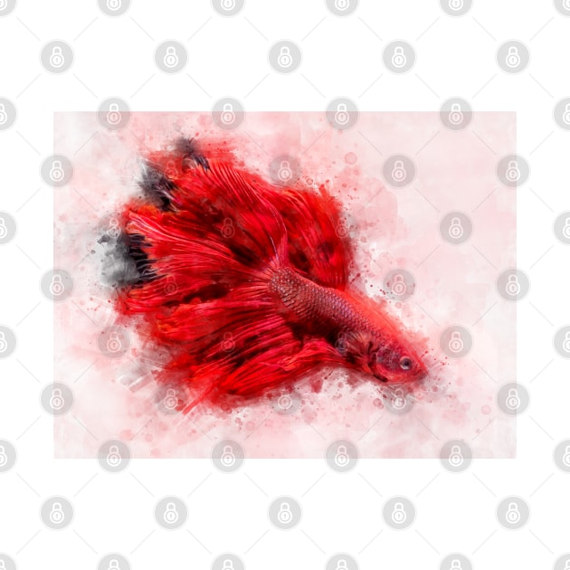 Red Betta Fish watercolor by SPJE Illustration Photography