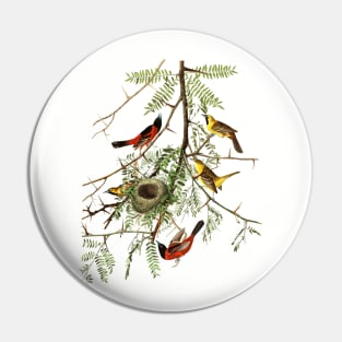 Honey Locust & Orioles by Audubon Pin