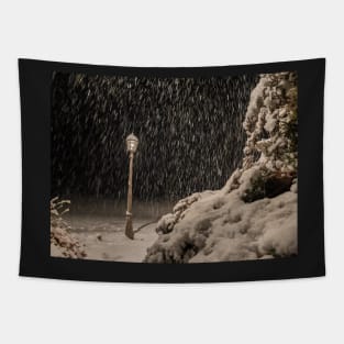 Snowy Light Post Tapestry