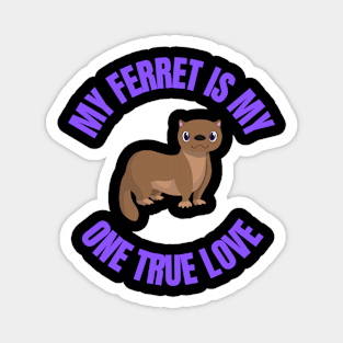 My one true love: My Ferret Magnet