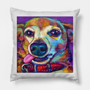 Cute Derpy Chiweenie Puppy on Violet Pillow