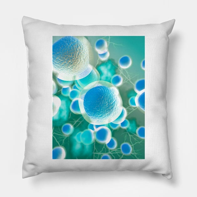 Stem cells, illustration (C029/2566) Pillow by SciencePhoto