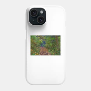 850_2737 Phone Case