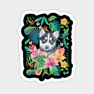 Tropical Black White Husky Puppy 13 Magnet