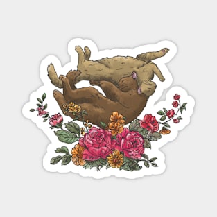 Cutie cats poses in flowers Magnet