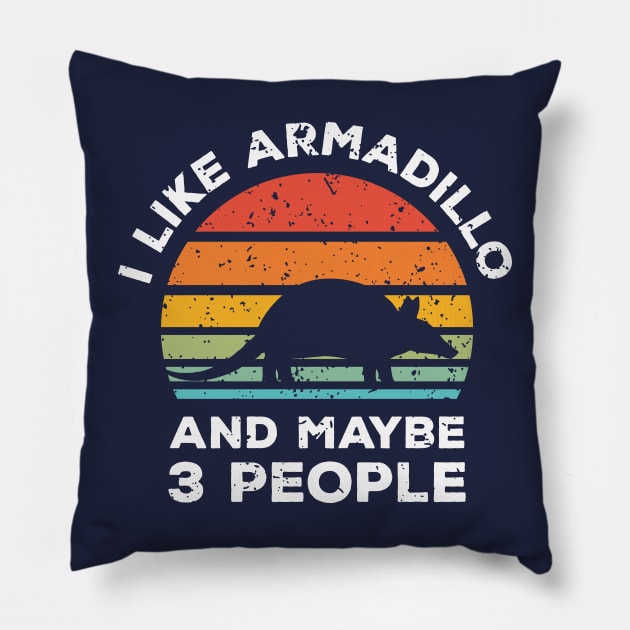 I Like Armadillo and Maybe 3 People, Retro Vintage Sunset with Style Old Grainy Grunge Texture Pillow by Ardhsells